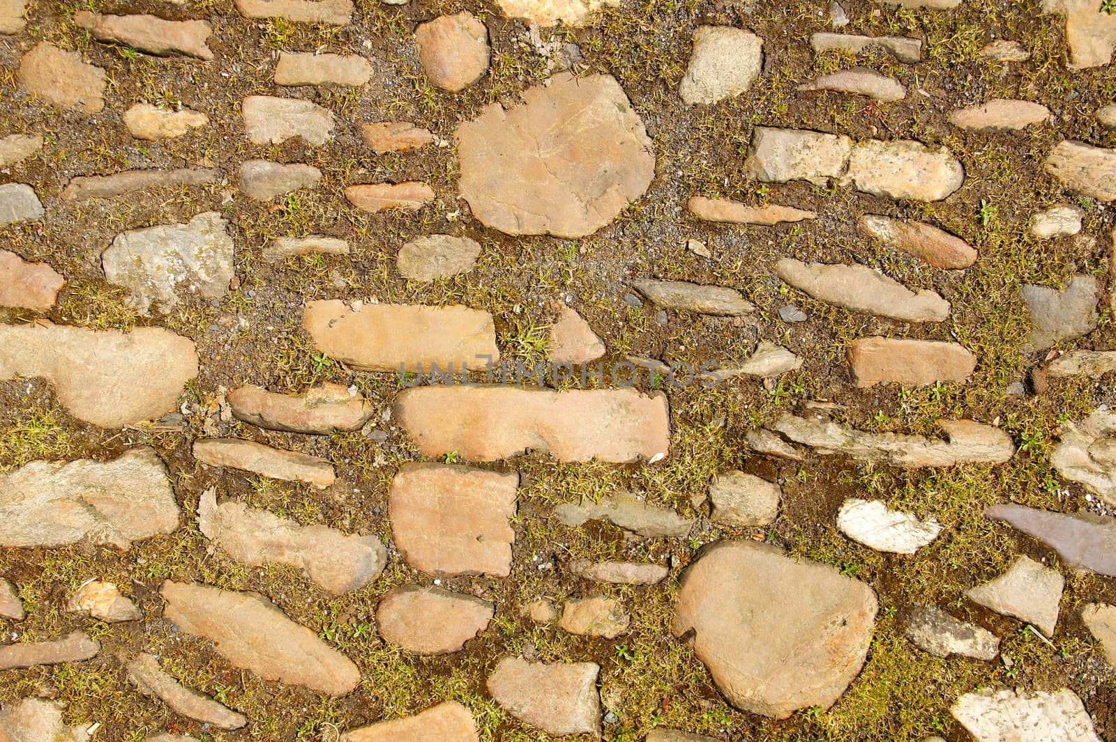 old plaster in the museum village Herrstein in the Hunsrück