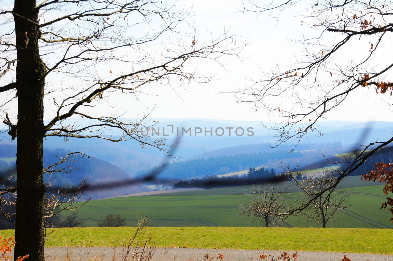 forest landscape in the eastern Hunsrück near Niederhosenbach in April, fields and forests are still bare