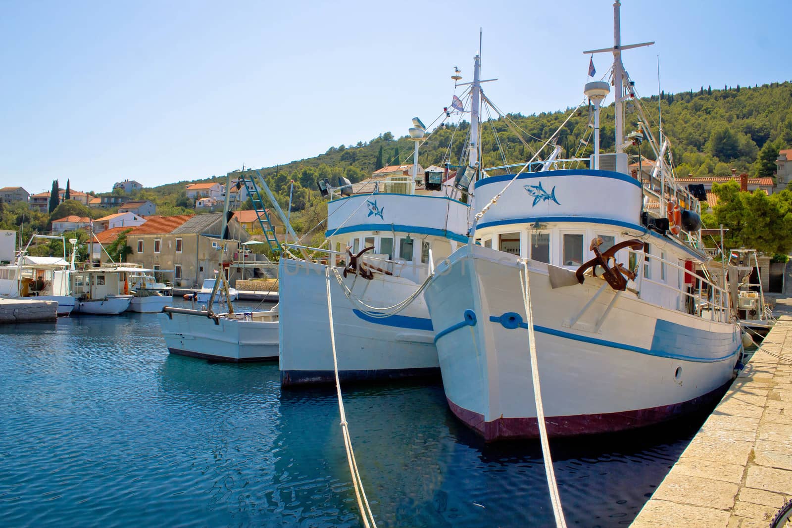 Adriatic fishermen village of Kali, Island of Ugljan, Dalmatia, Croatia