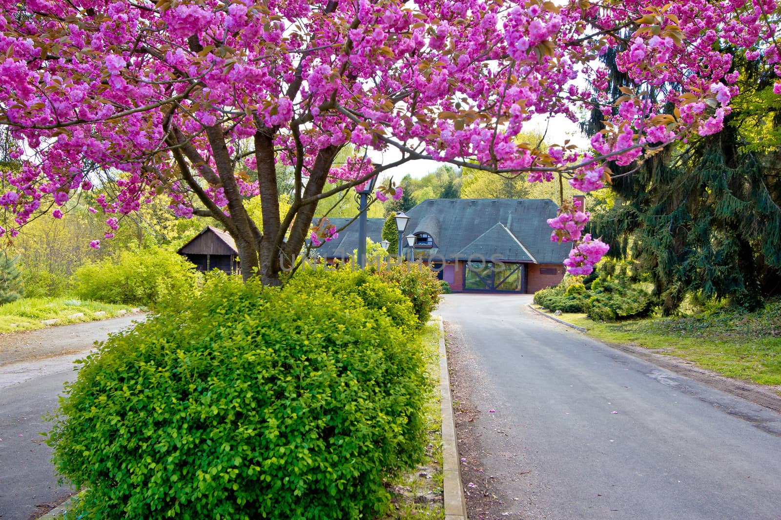 Colorfun nature view - old cottage in Podravina region of Croatia