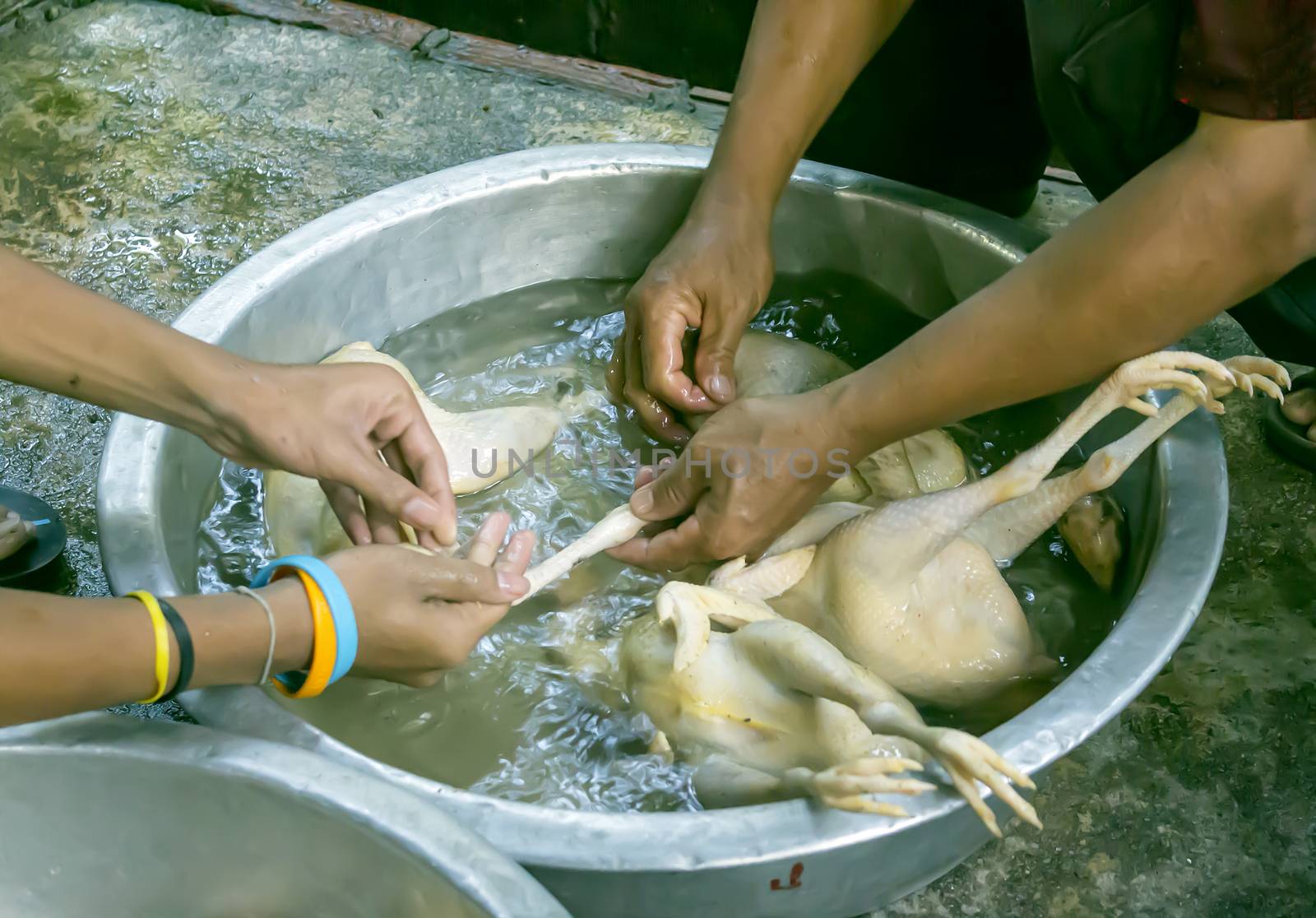 Male hands washing and cleaning chicken