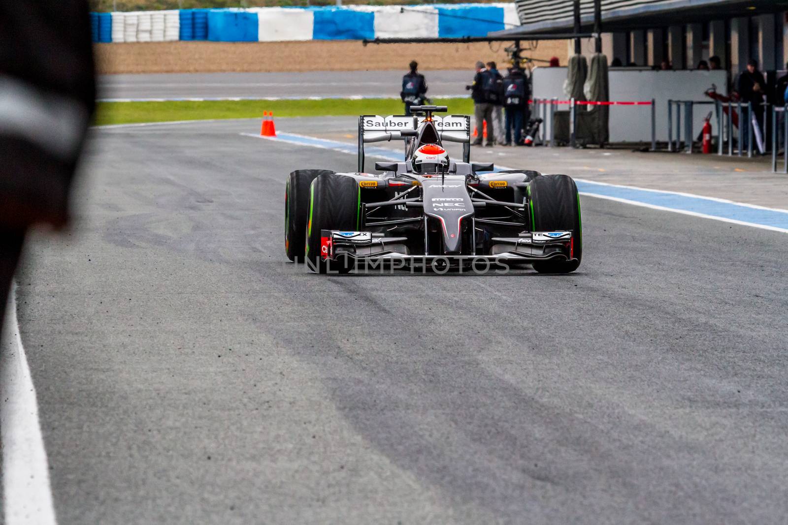 Team Sauber F1, Adrian Sutil, 2014 by viledevil