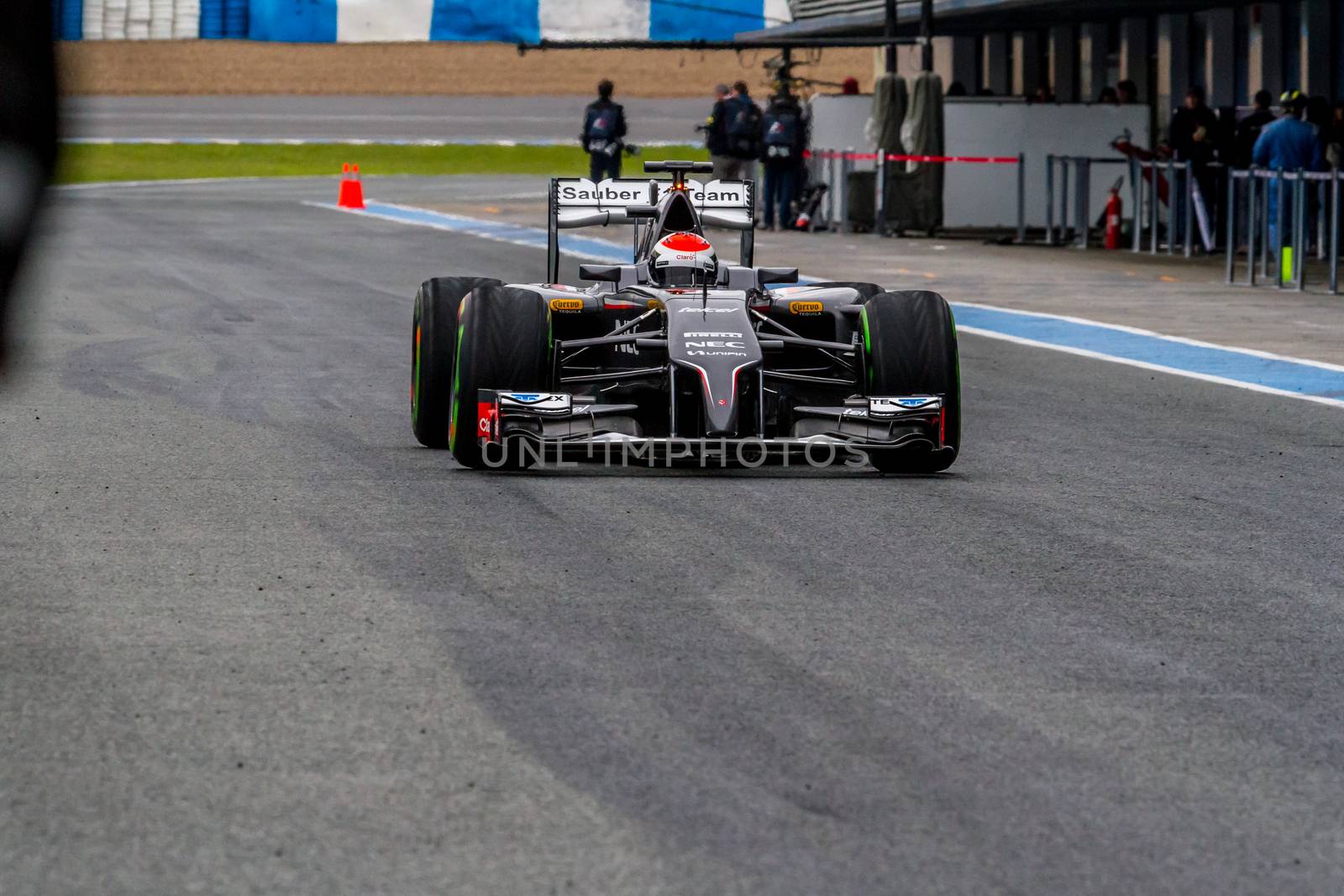 Team Sauber F1, Adrian Sutil, 2014 by viledevil