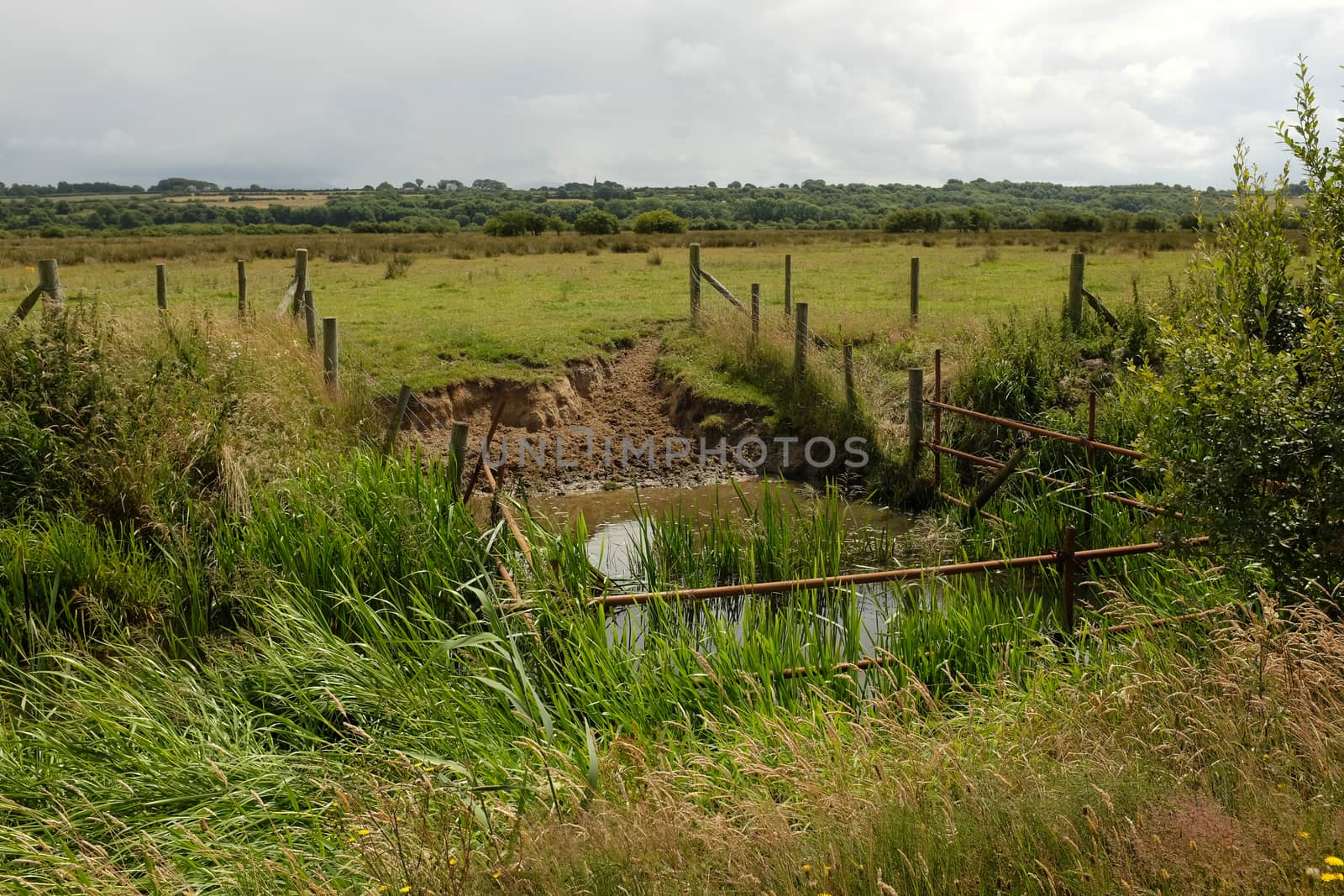An area of river fenced off as a watering hole next to a field of green grass.
