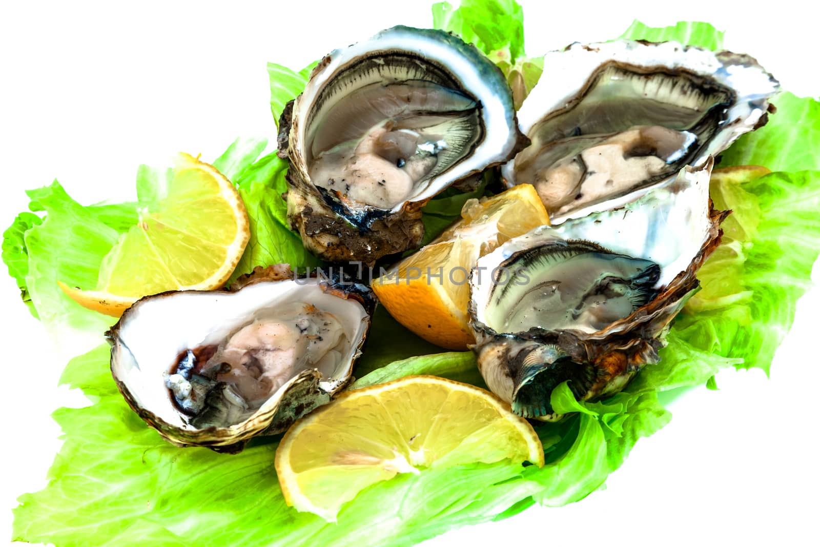 Lots of oysters on a dish with lemon and vegetables