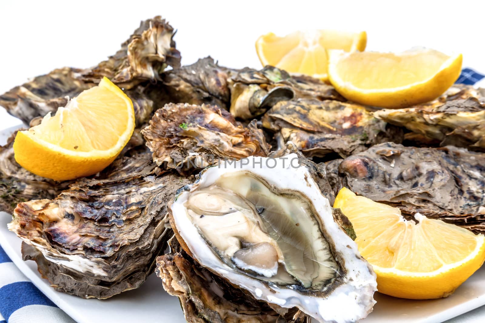Lots of oysters on a dish with lemon