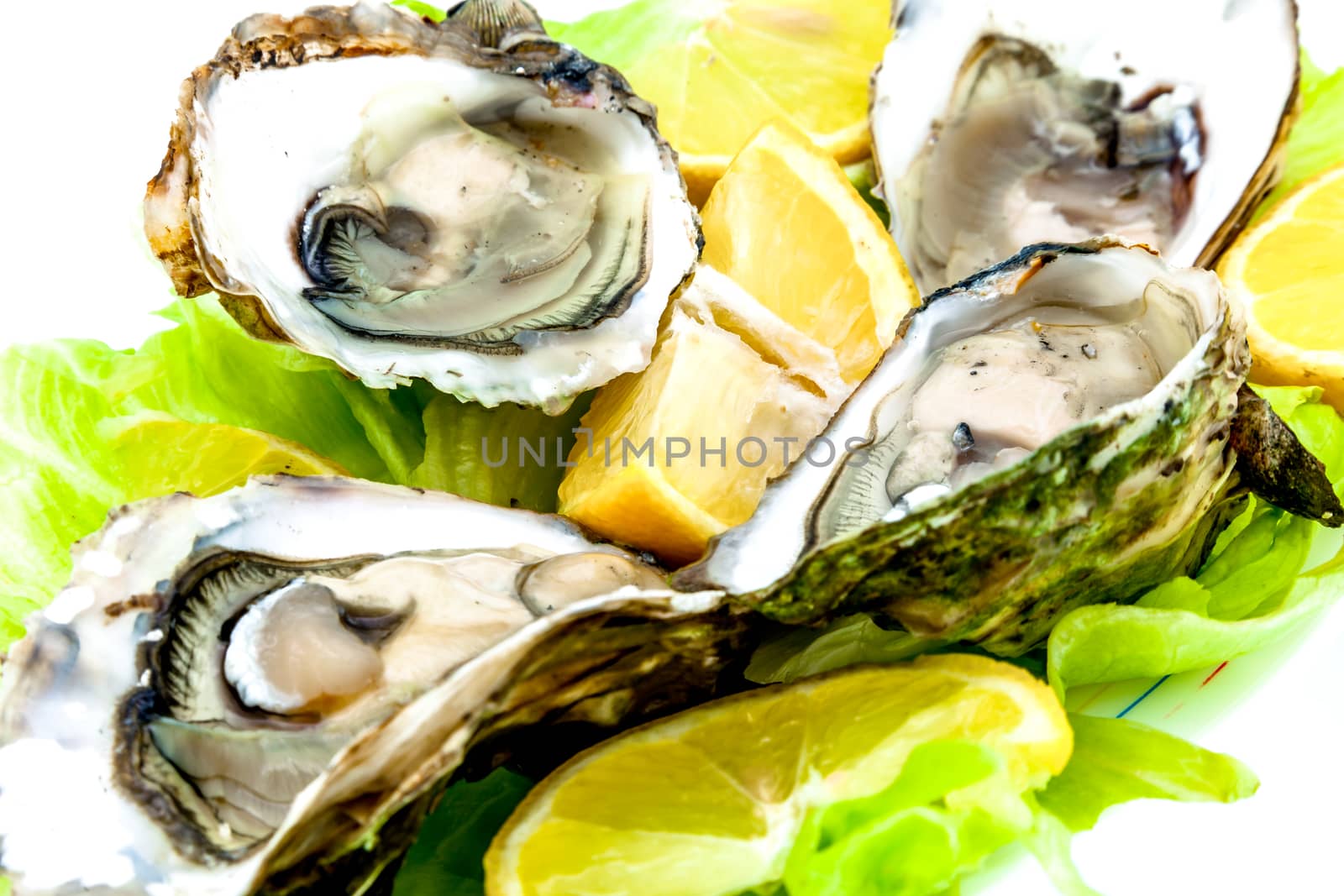Lots of oysters on a dish with lemon and vegetables
