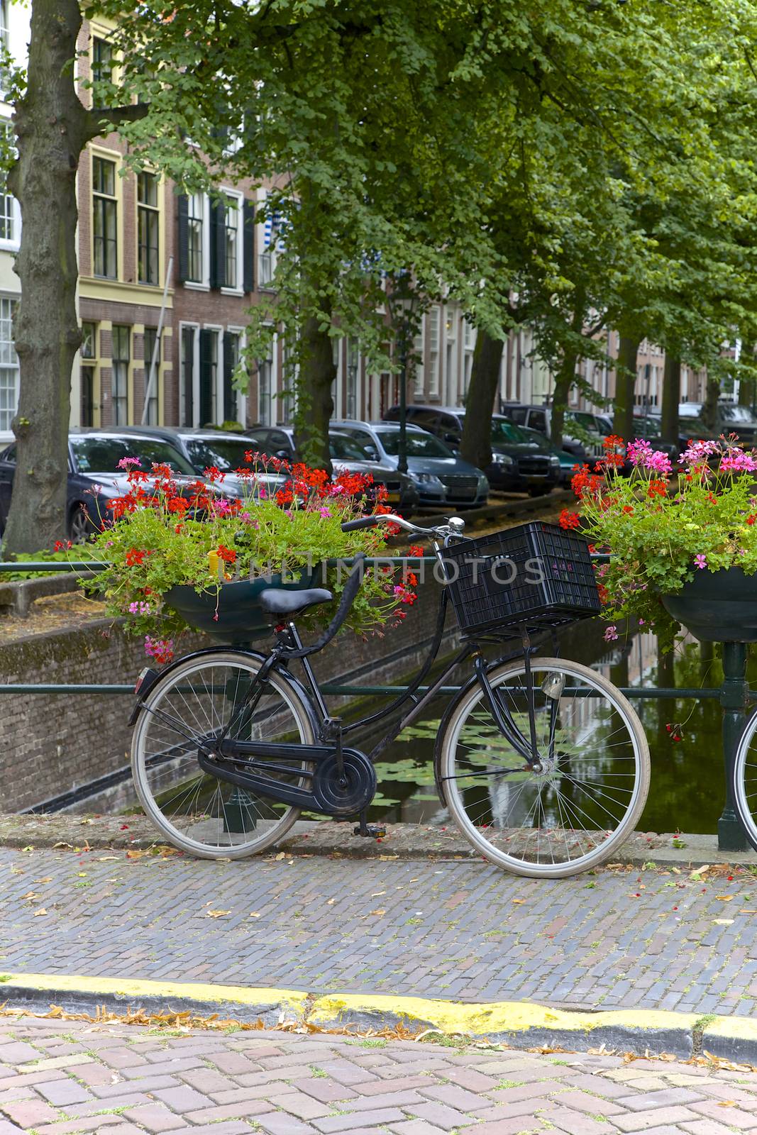 The Hague, Netherlands