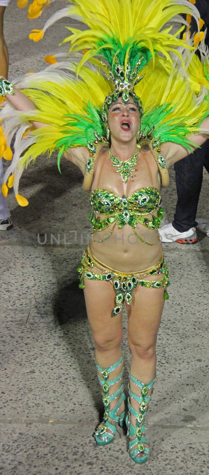 An entertainer performing at a carnaval in Rio de Janeiro, Brazil
03 Mar 2014
No model release
Editorial only