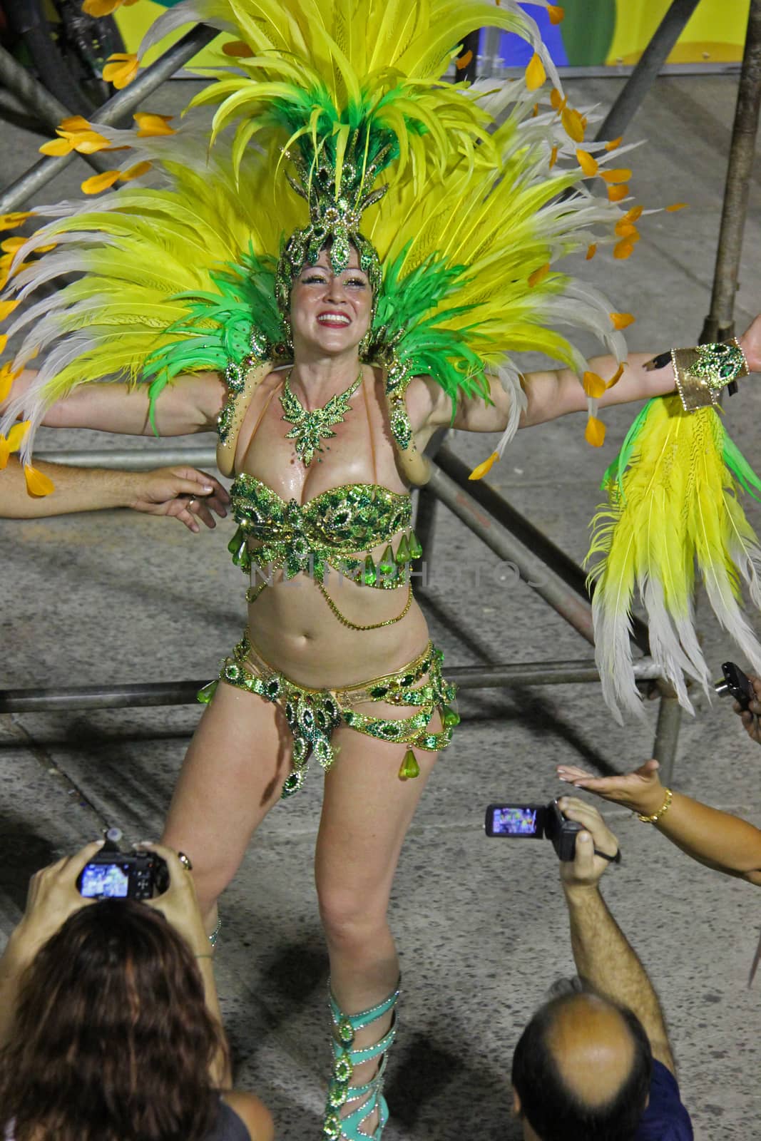 An entertainer performing at a carnaval in Rio de Janeiro, Brazil 03 Mar 2014 No model release Editorial only