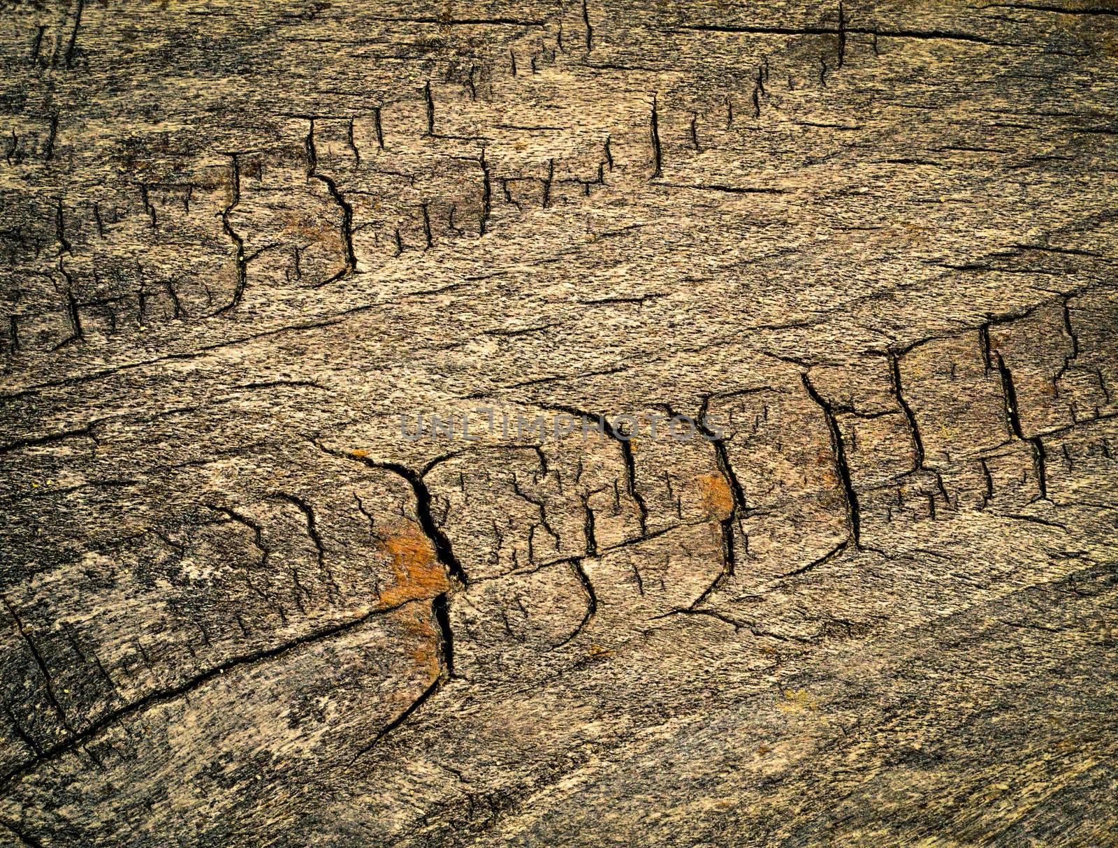 abstract background or texture old wood patterned