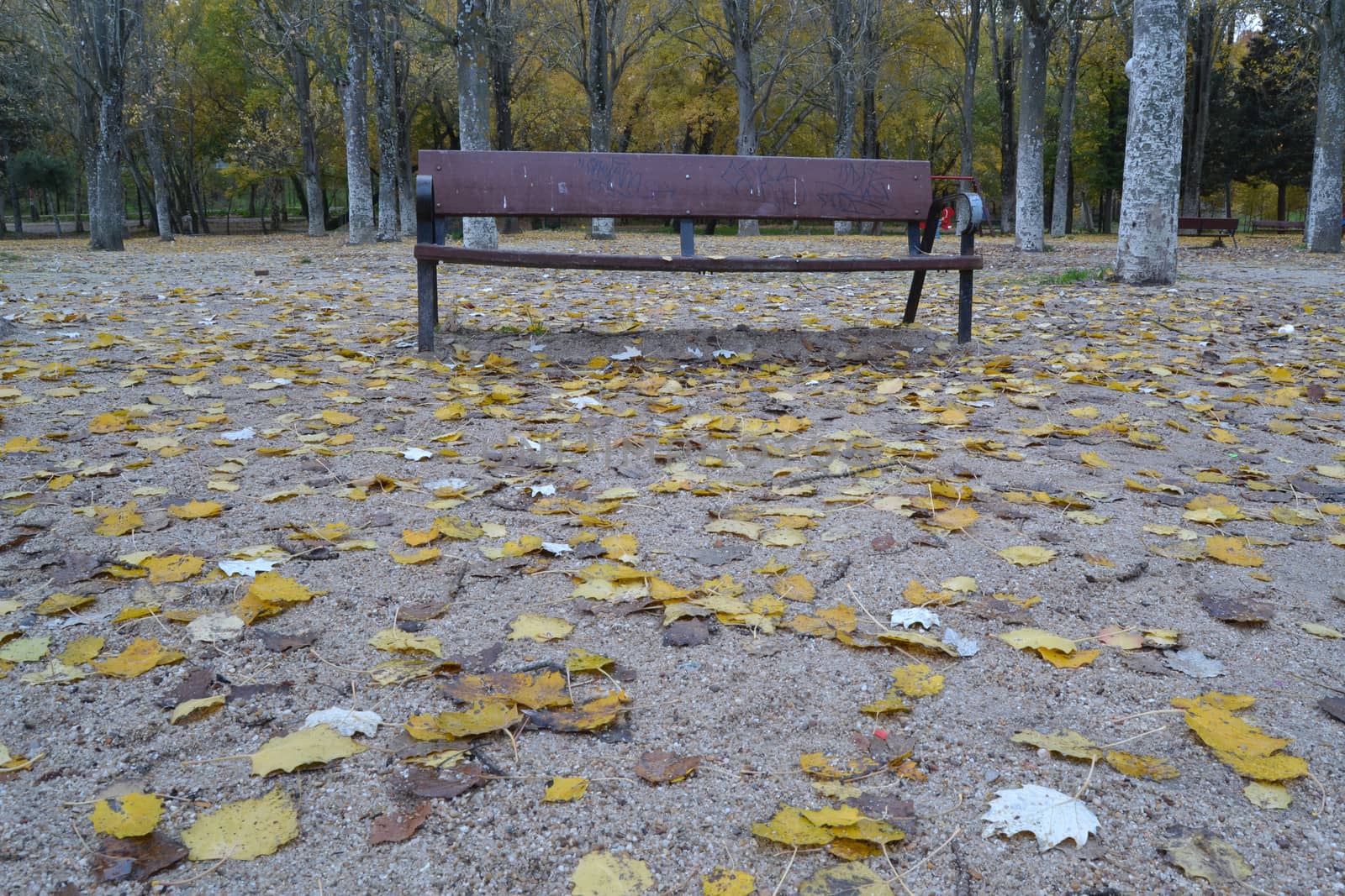Bench in the park Casa de campo, Madrid, Spain. Autumn