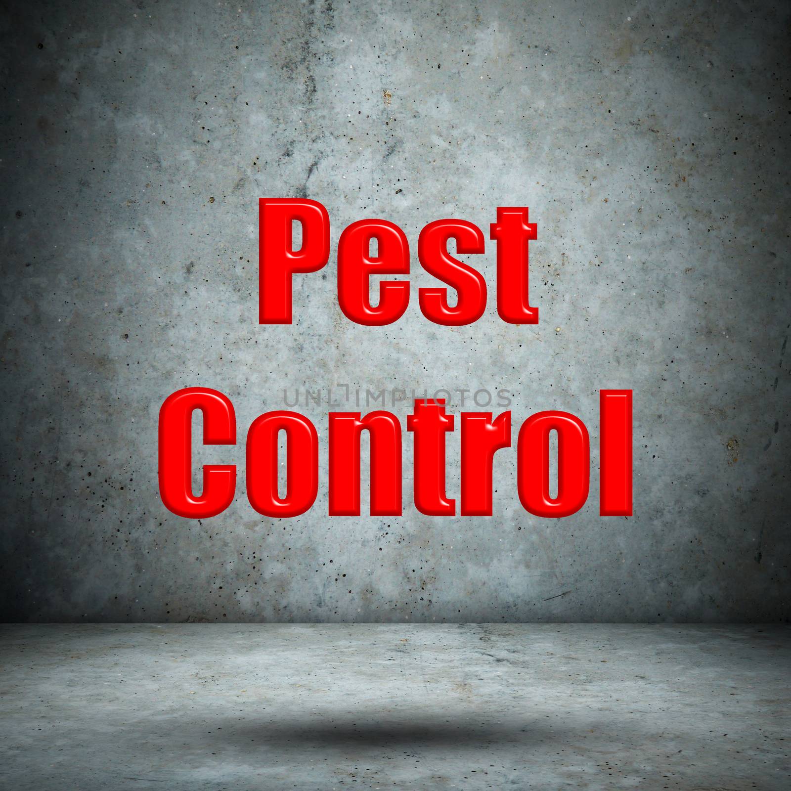 Pest Control concrete wall