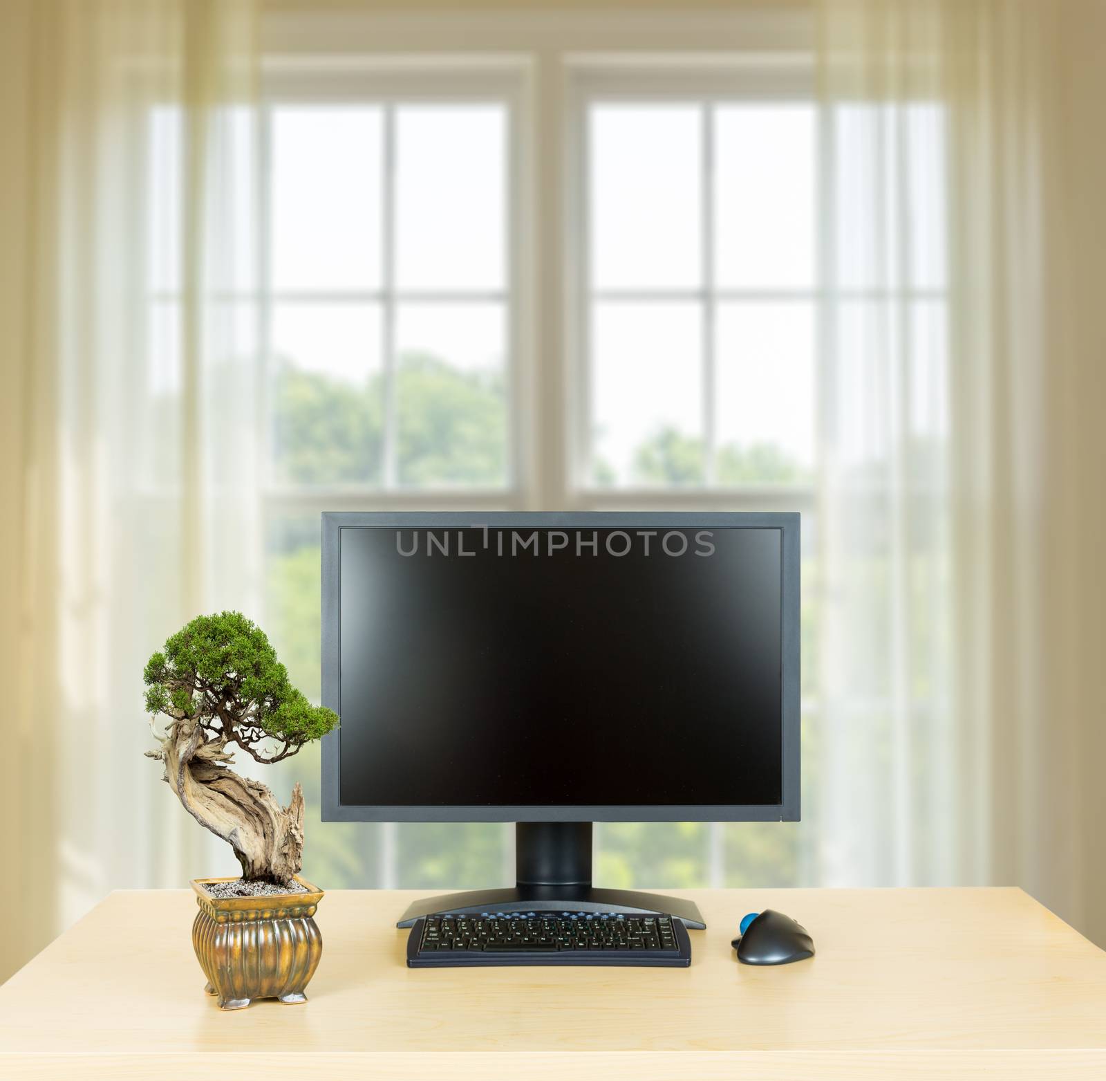 Small old bonsai tree in golden pot on plain wooden desk with computer monitor and keyboard to suggest calm, organization and meditation at work or in home office