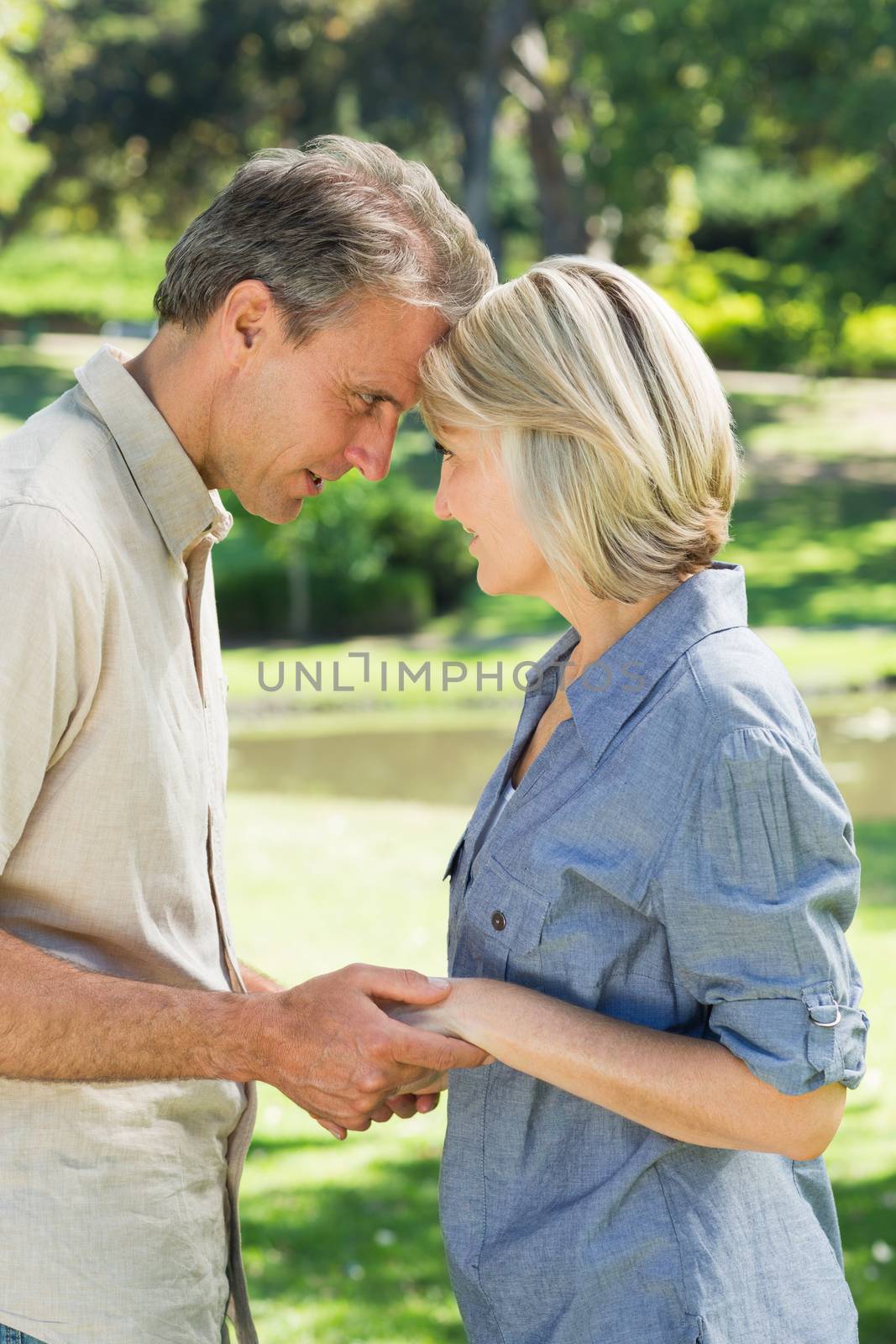 Side view of loving couple head to head in park