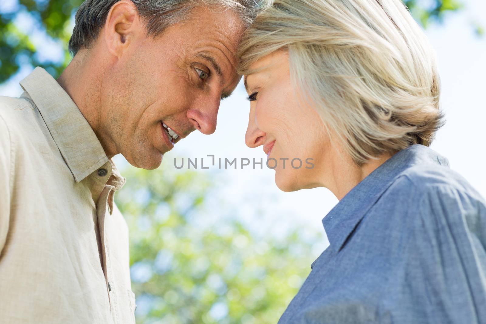 Side view closeup of romantic couple head to head in park