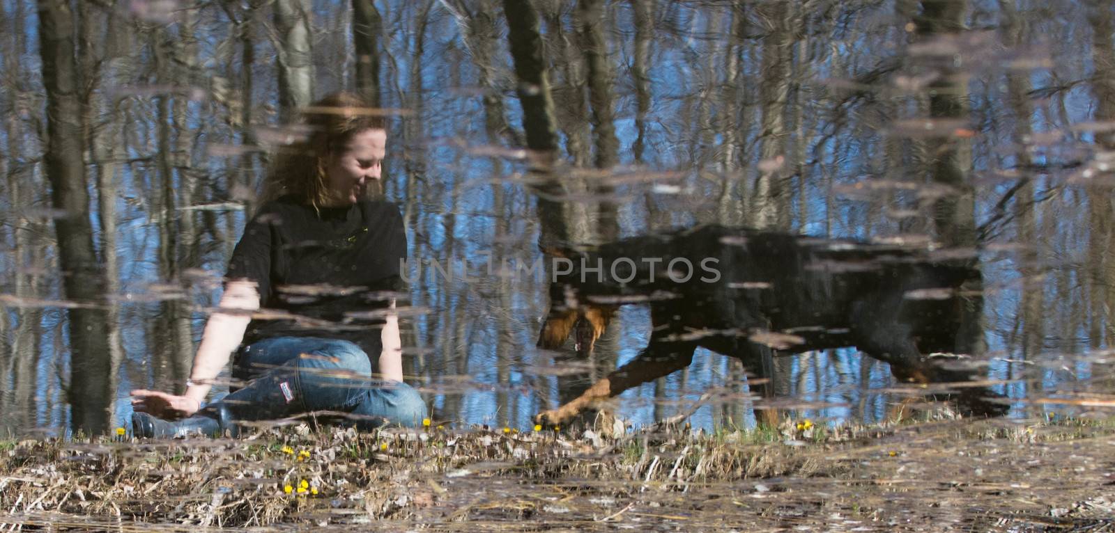 reflection in the water of woman and doberman pinscher