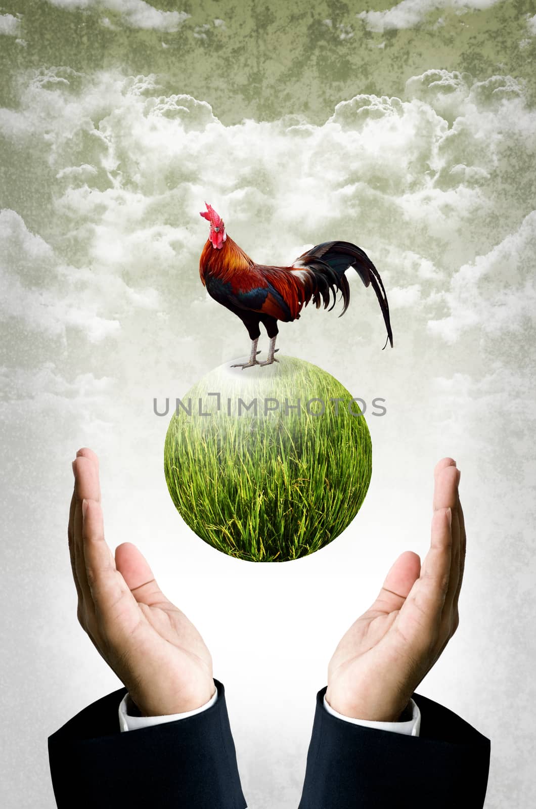 Businessman show the green planet with chicken, Organic farm concept by pixbox77