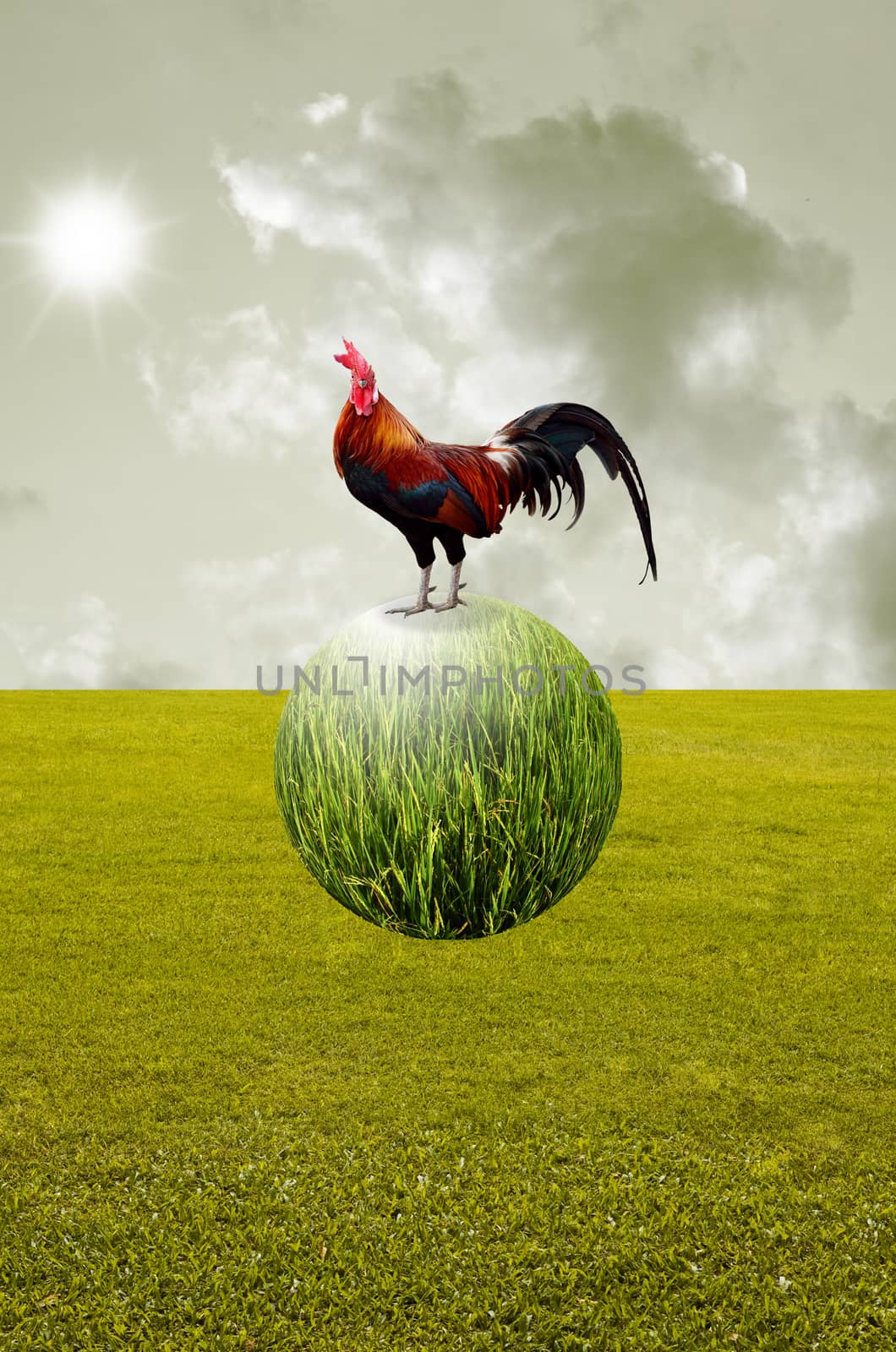 Chicken on the planet float in the air with field background by pixbox77