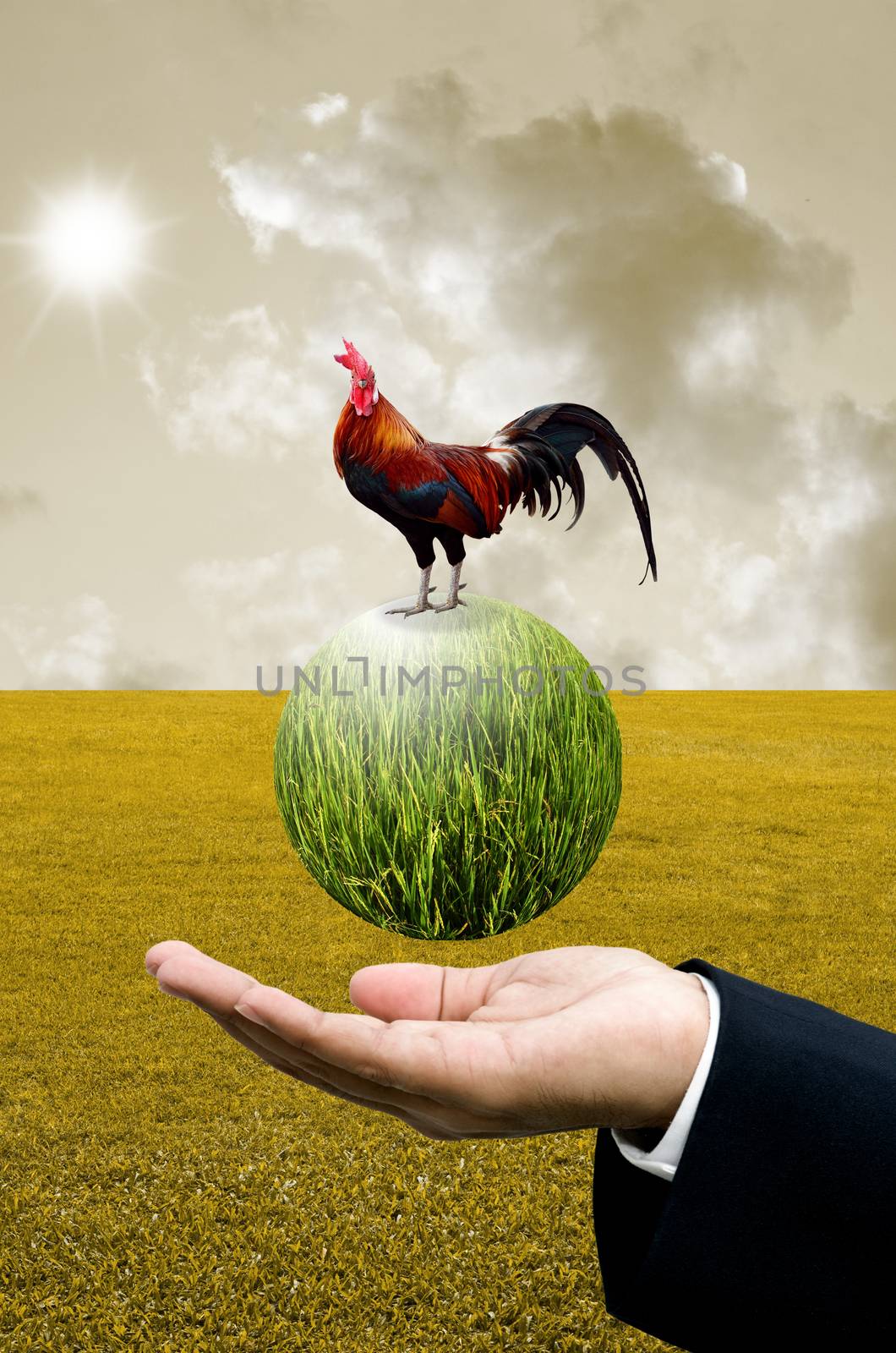 Businessman show the green planet with chicken, Organic farm concept