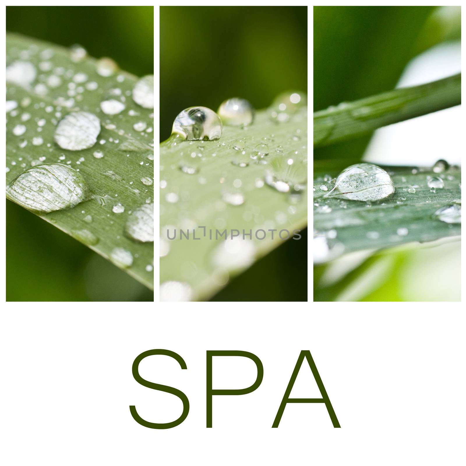 spa collage by NeydtStock