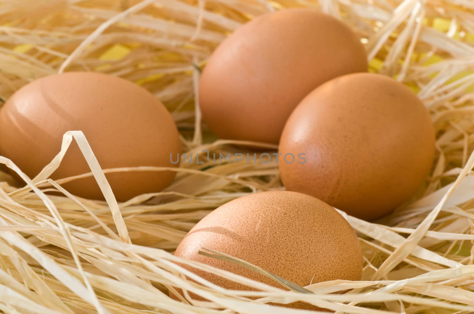 bio eggs  by NeydtStock