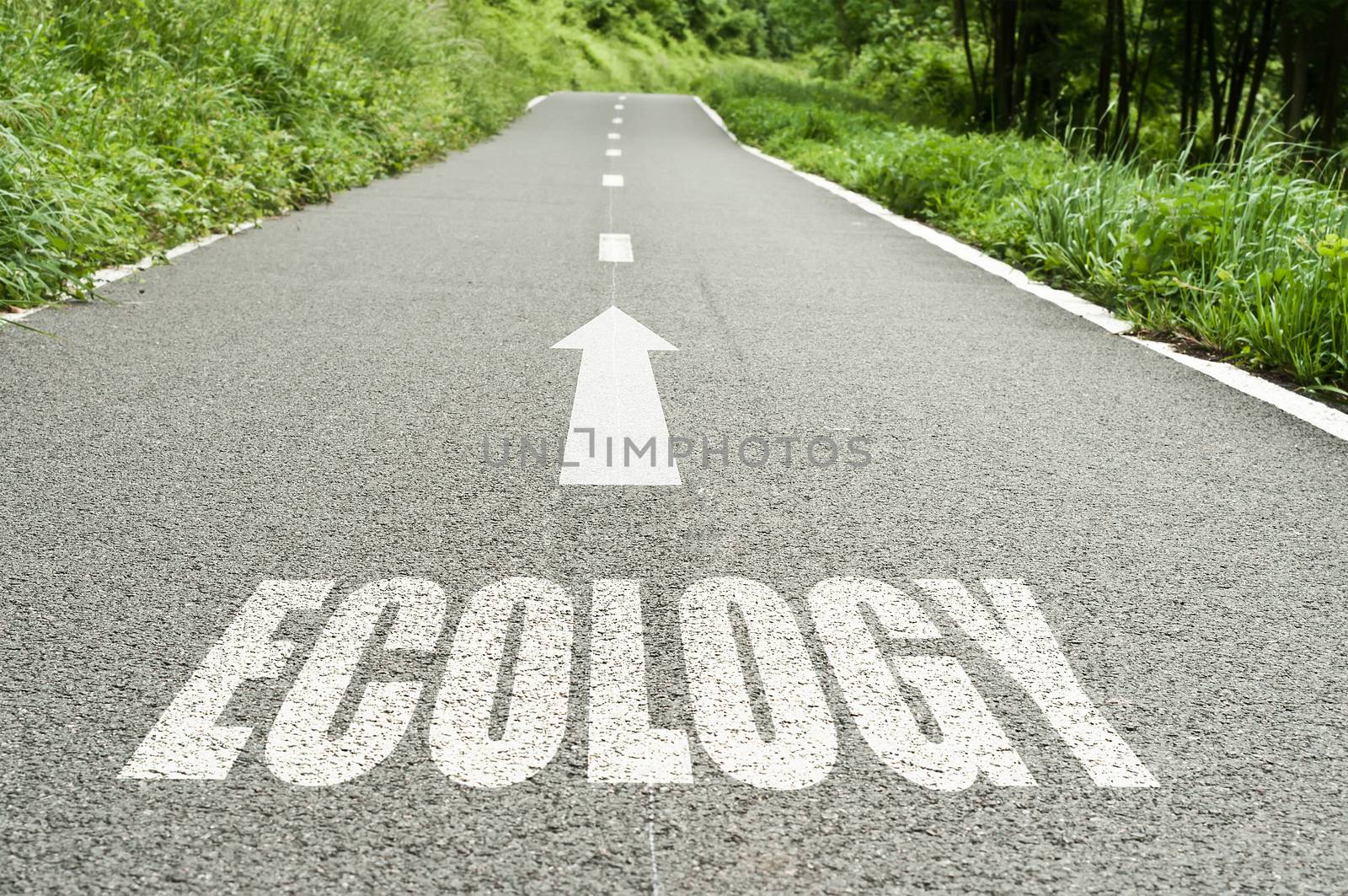 Ecology on the road by NeydtStock