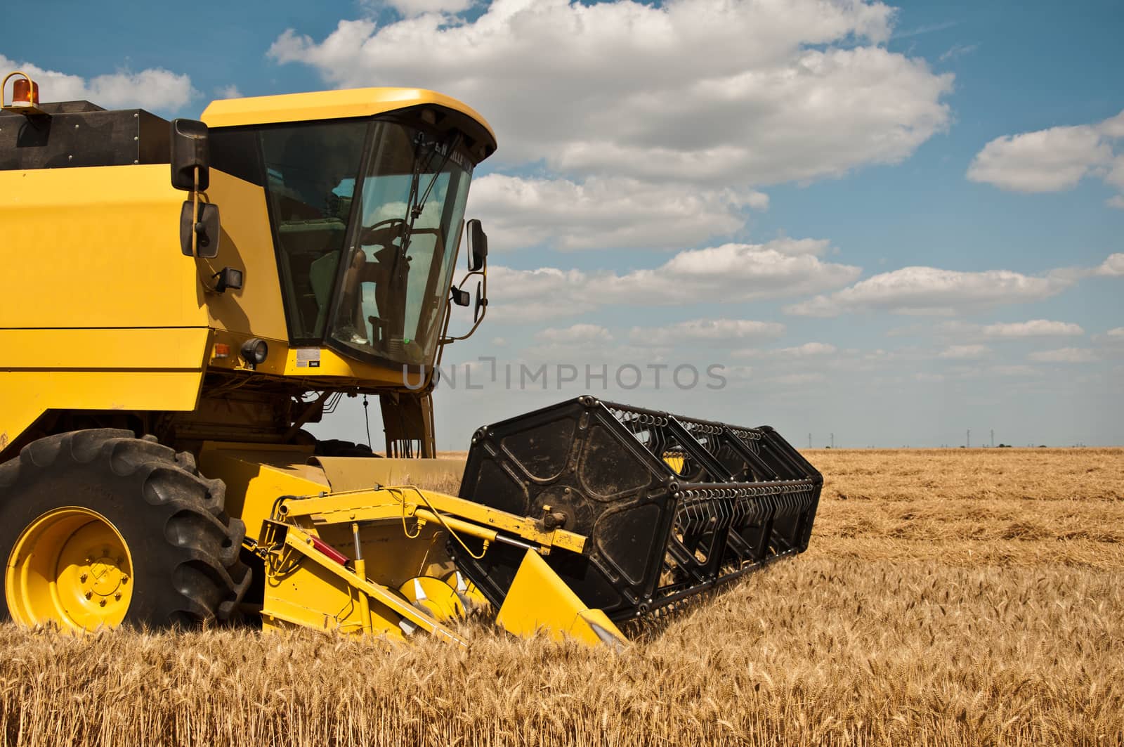 harvest in wheat field by NeydtStock