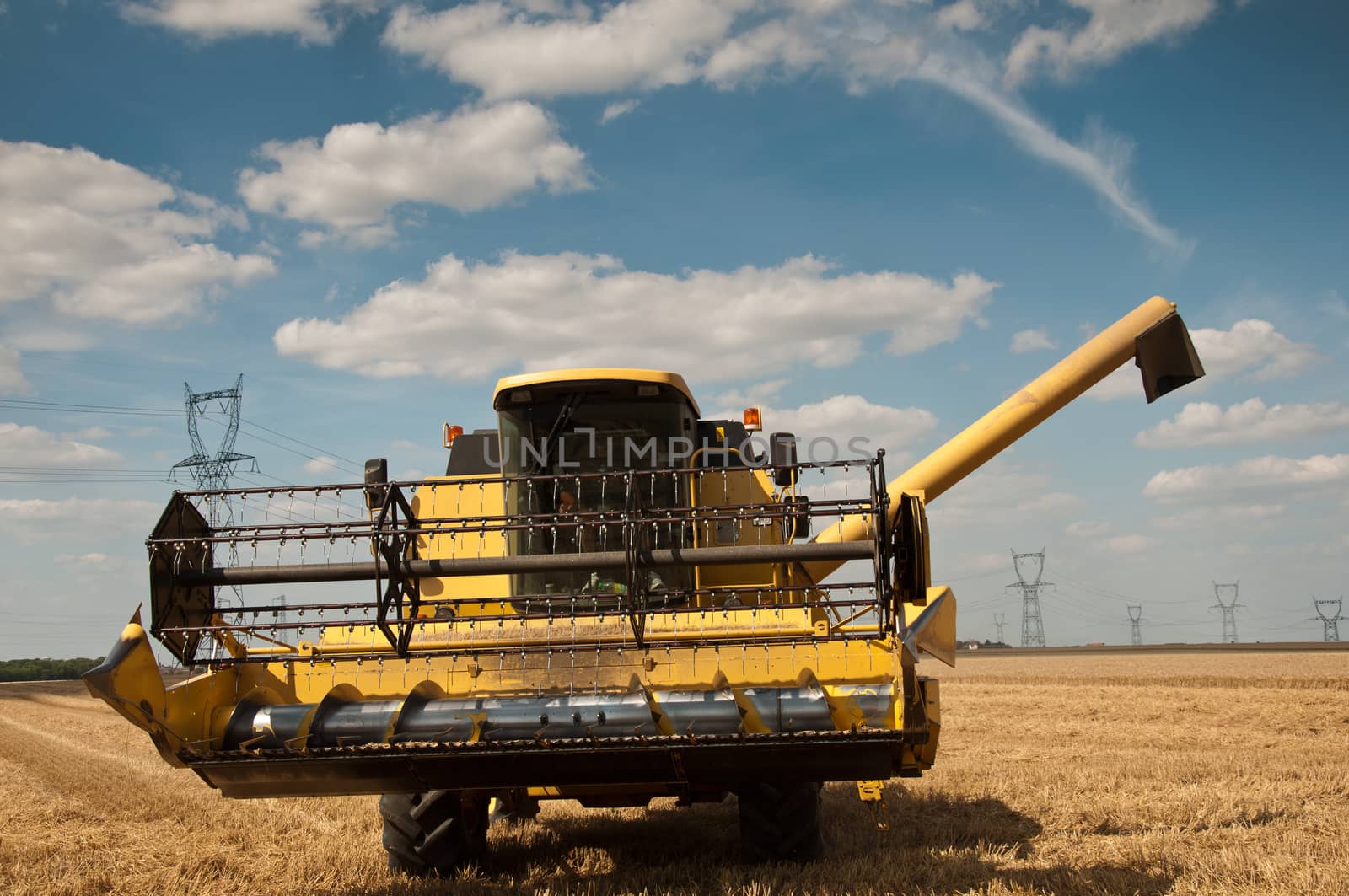 harvest in wheat field by NeydtStock