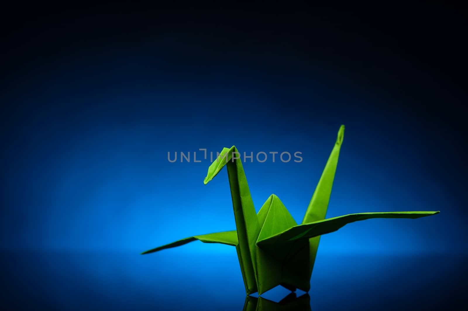 green origami paper crane with blue back light