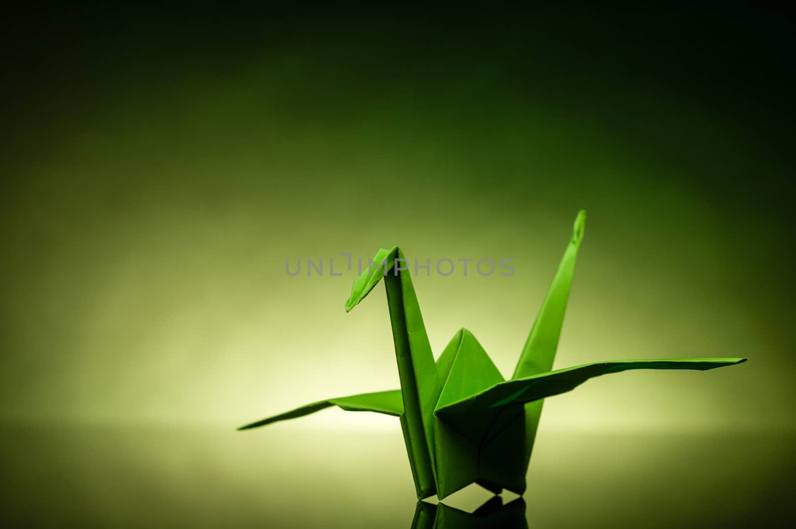 green origami paper crane with green back light