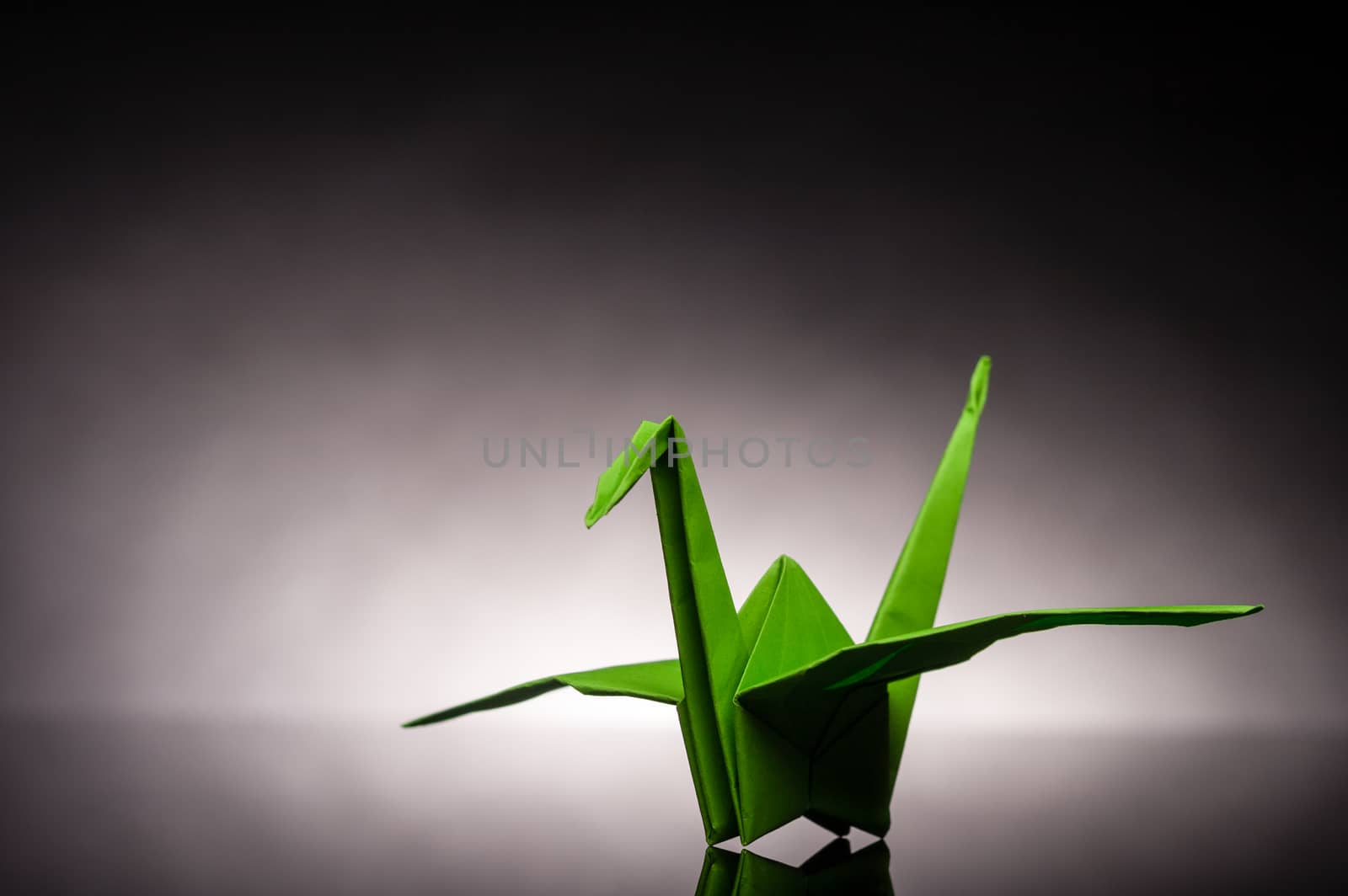 green origami paper crane with white back light