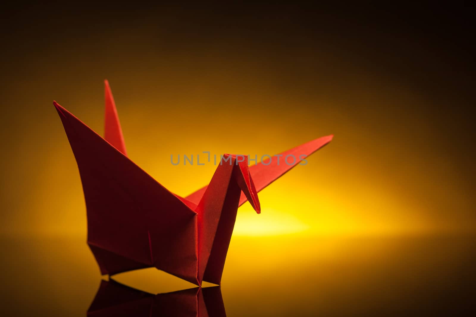 red origami paper crane with orange back light