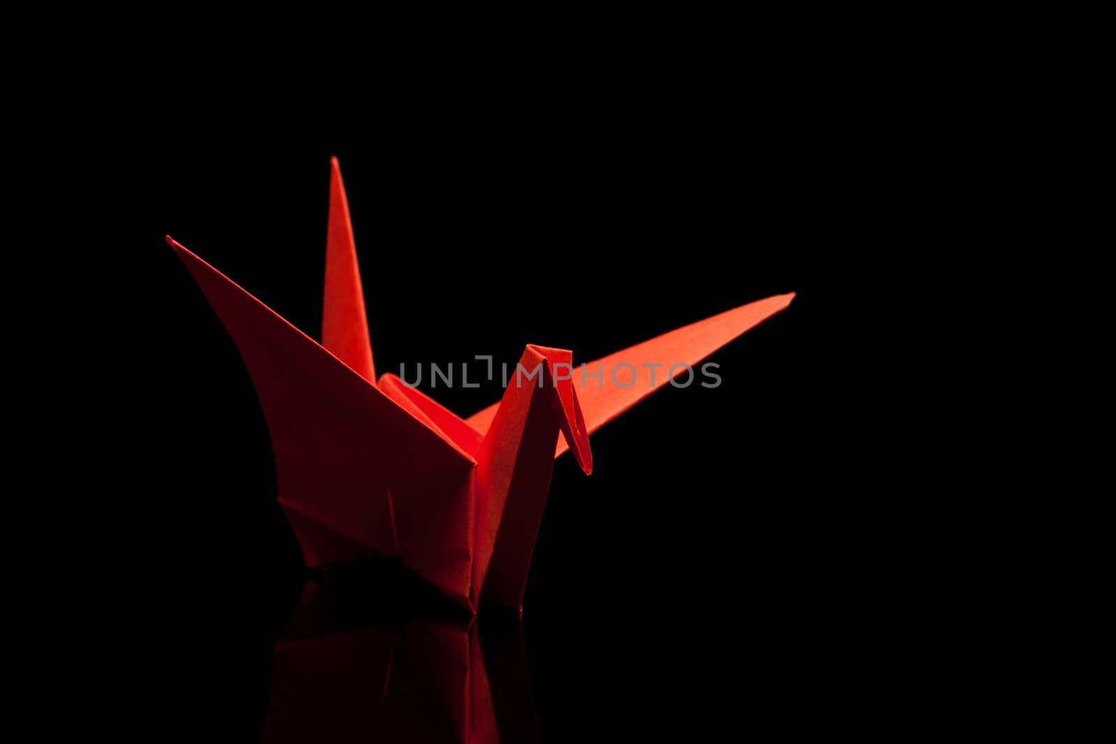 red origami paper crane on black with reflection