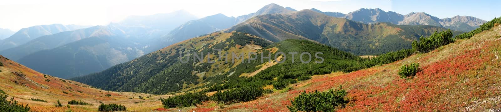 Polish mountain landscape  Tatras  - Grześ by sanzios