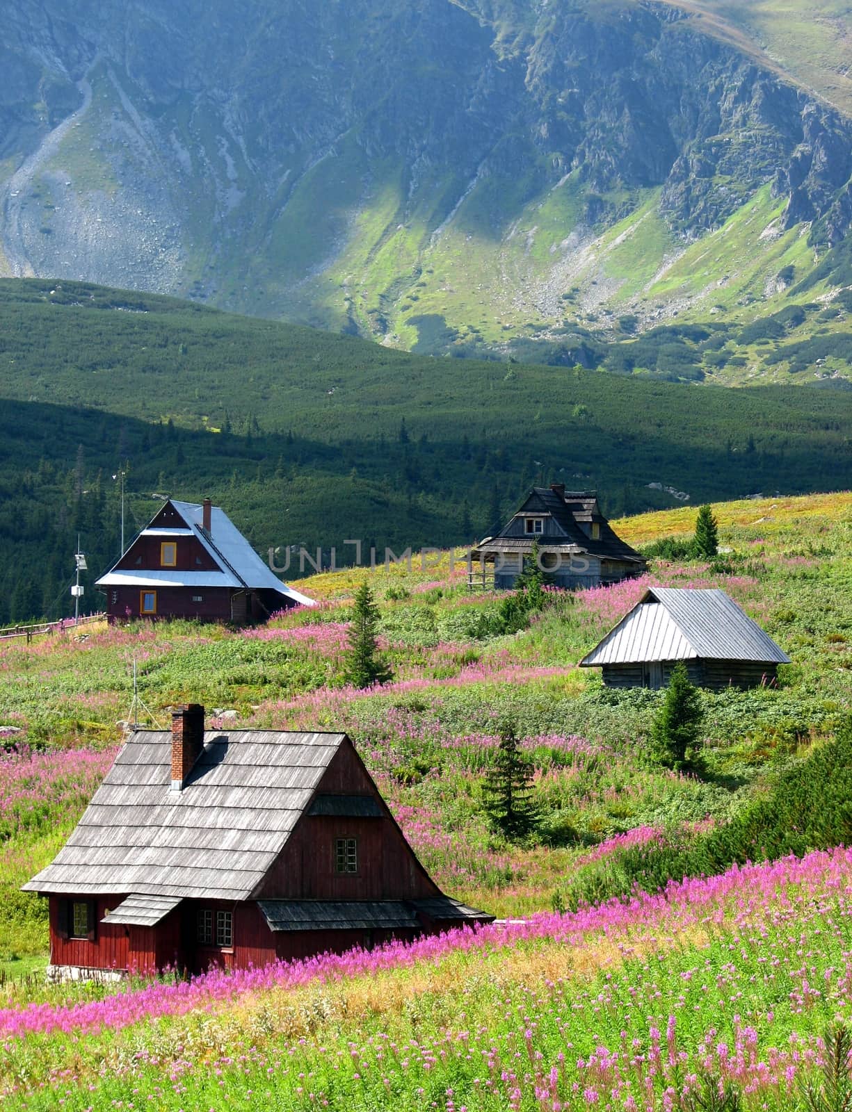 House in mountain - shelter in Tatras by sanzios