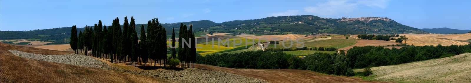 San Gimignano - toscany landscape with Cypress Trees