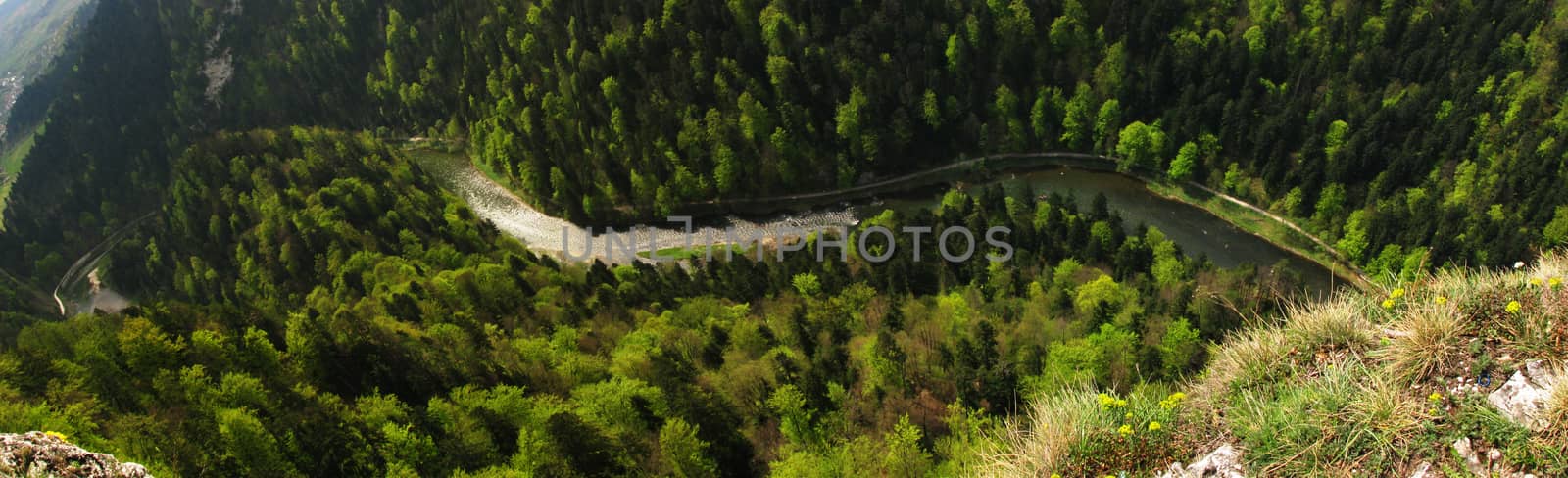 Dunajec river canyon gulch in Pieniny by sanzios