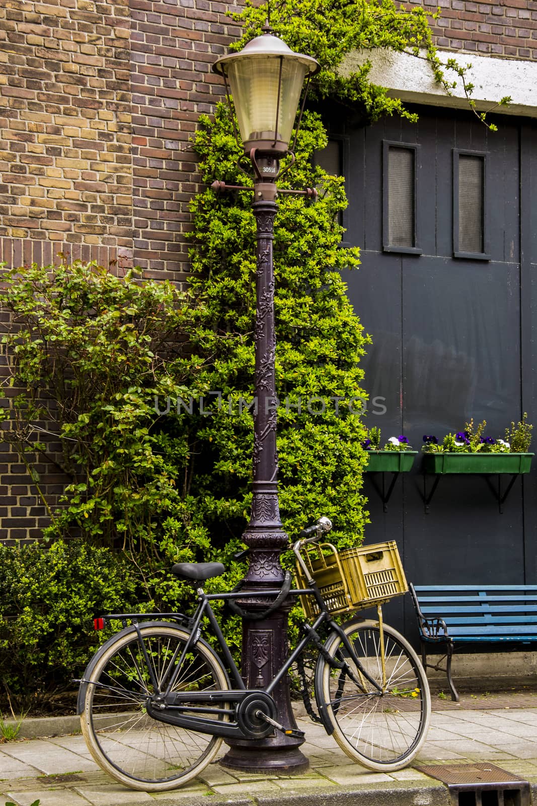 Bicycle tied on a light pole in Amsterdam by enrico.lapponi
