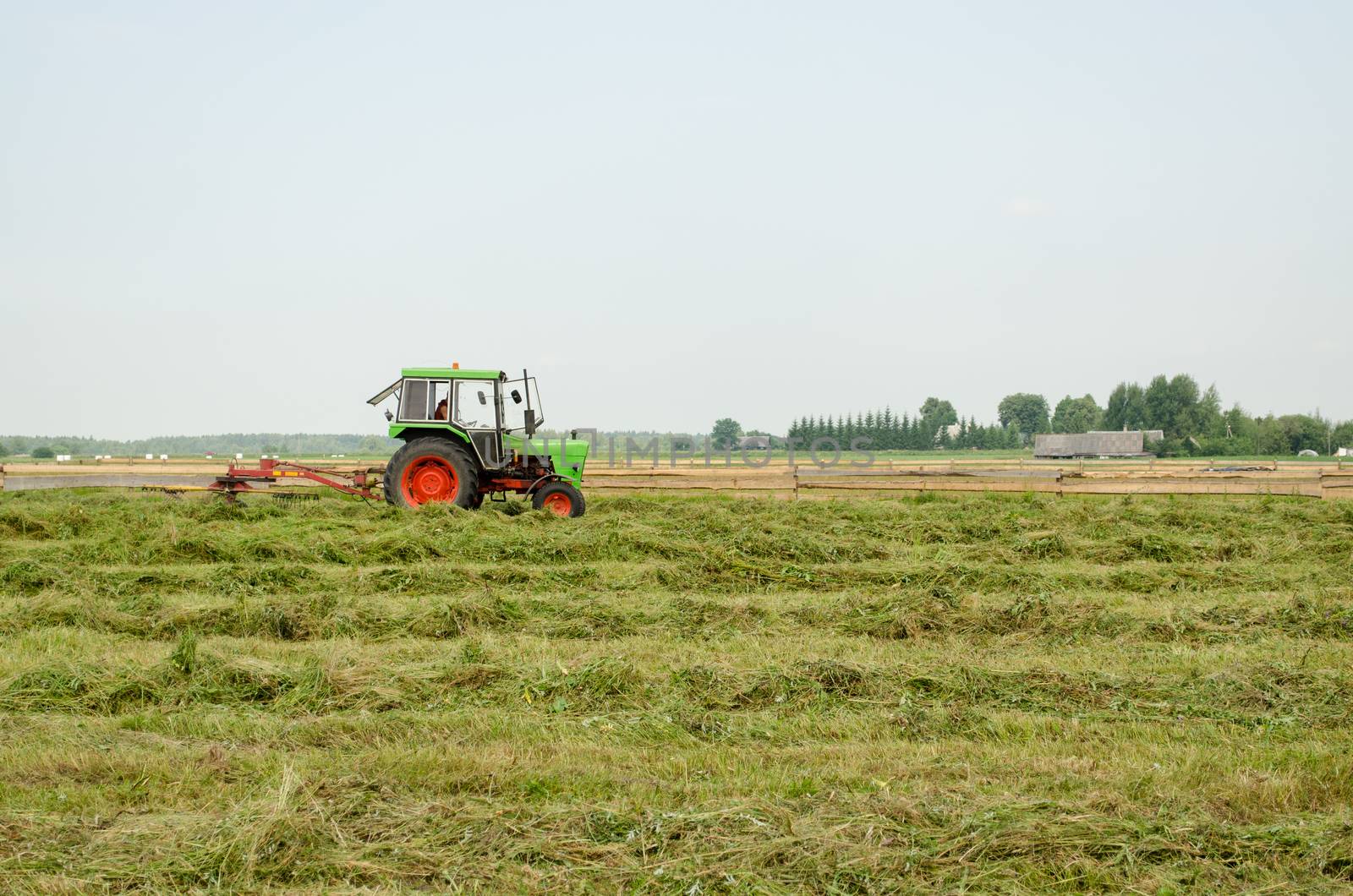 tractor turning raking cut hay with rotary rakes in agriculture field near rural village. Seasonal farm works.