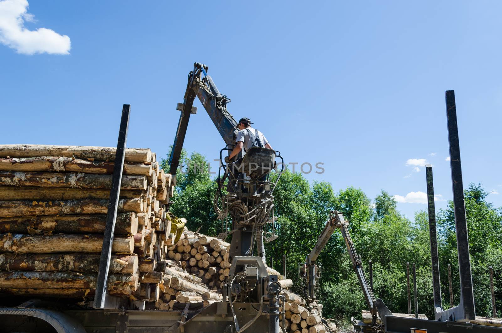 Man loading felled tree logs with timber crane to heavy truck trailer for transportation.