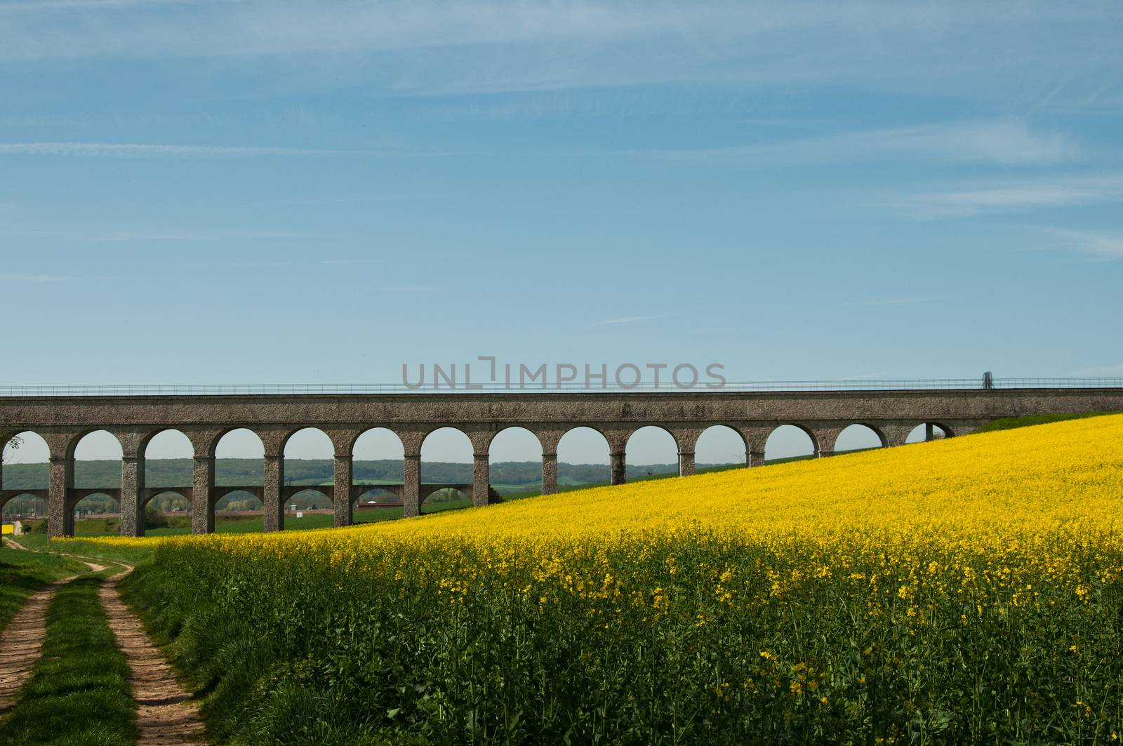 rape landscape with bridge