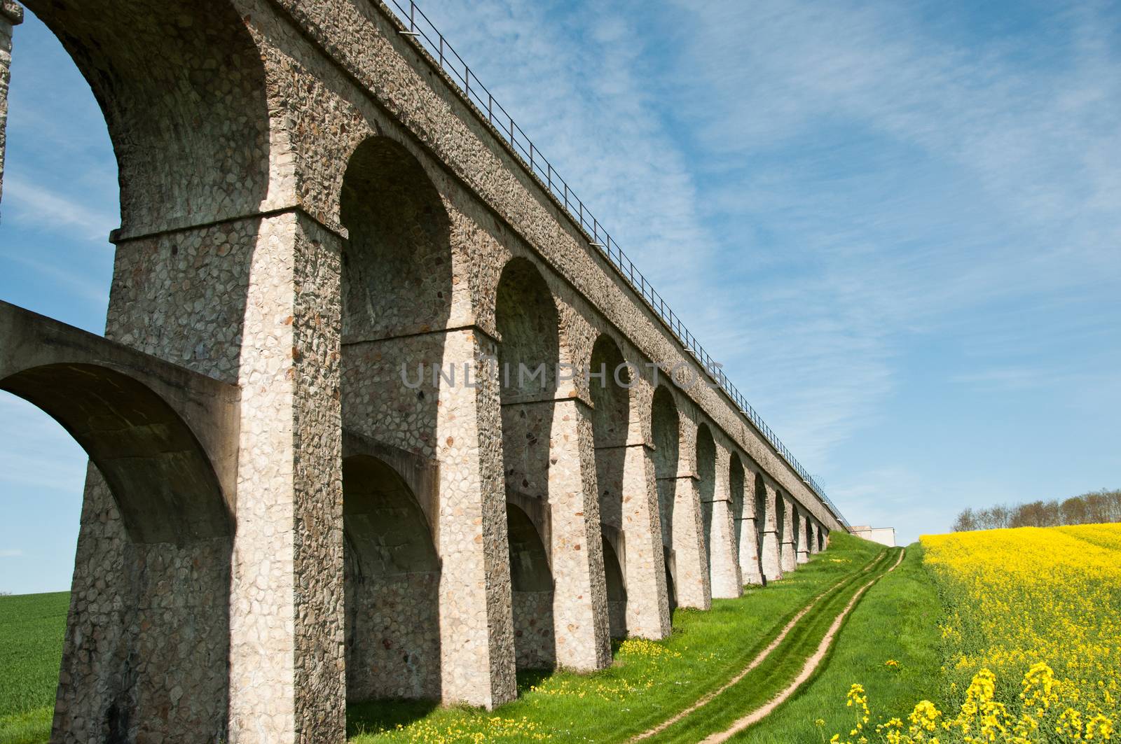 rape landscape with bridge