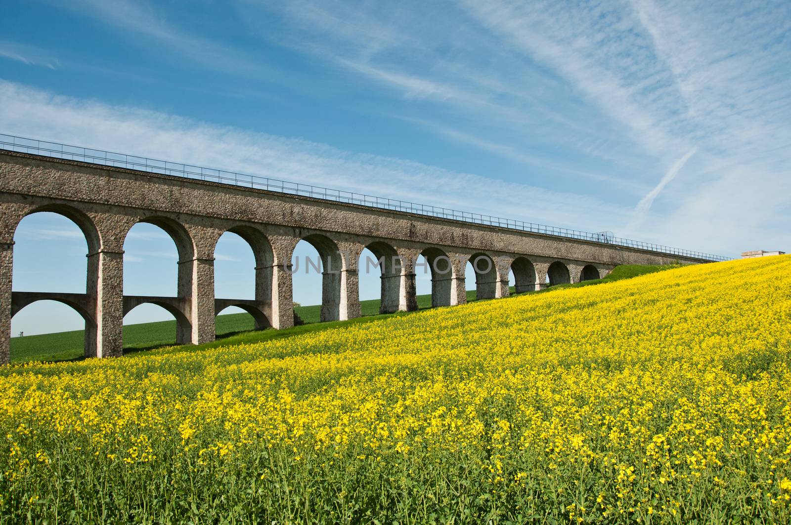 rape landscape with bridge