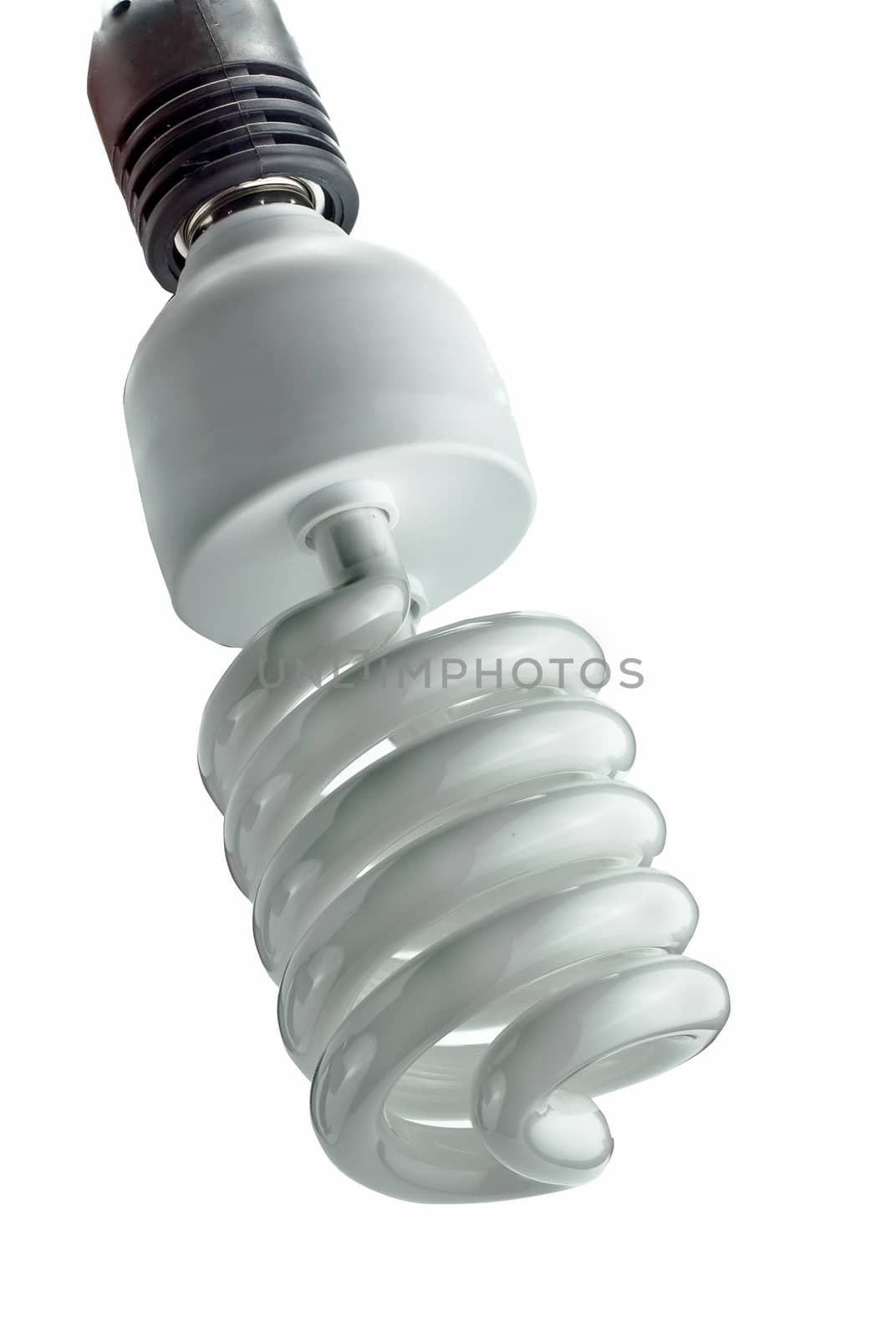 light bulb by ssdblues