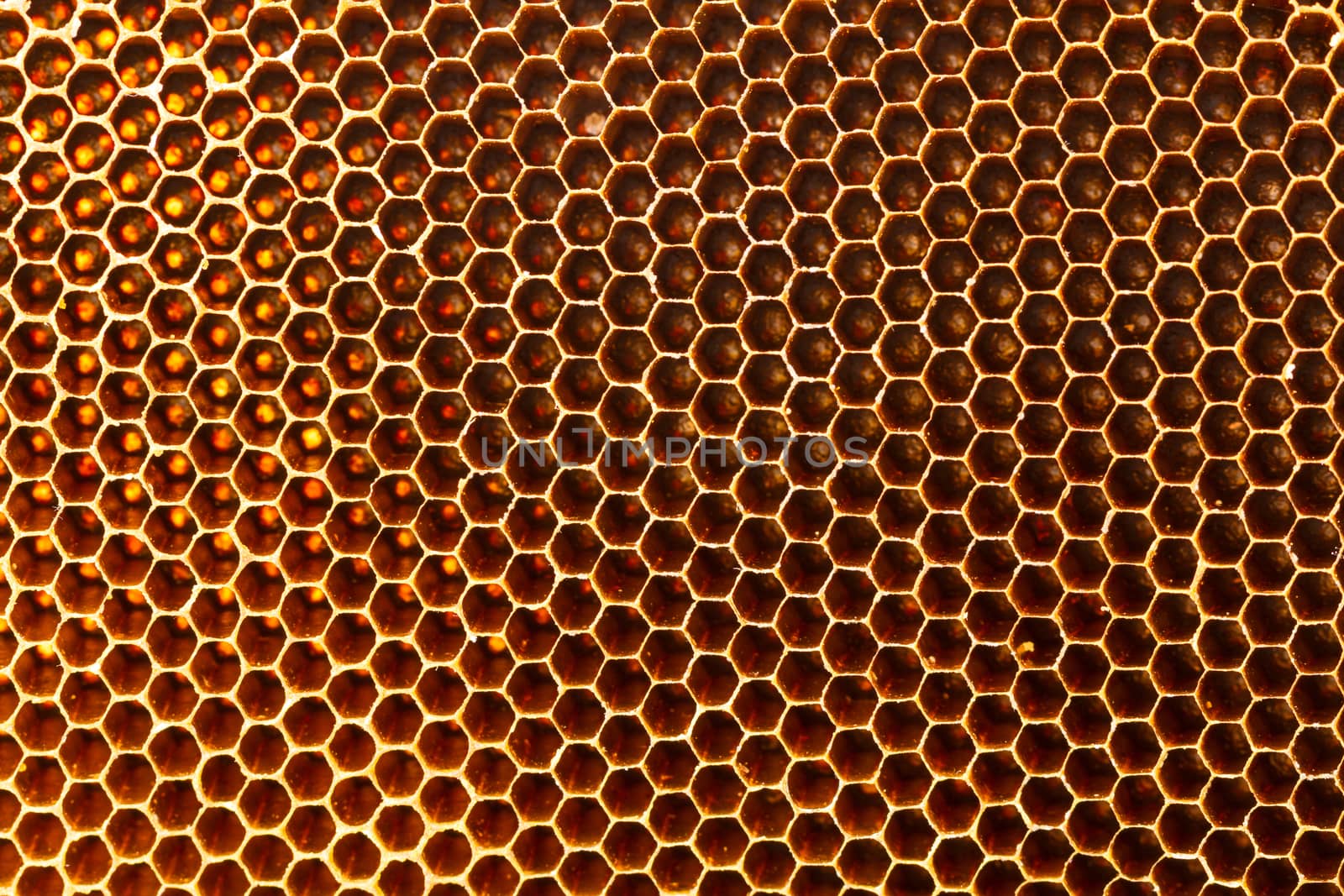 yellow beautiful honeycomb without honey texture