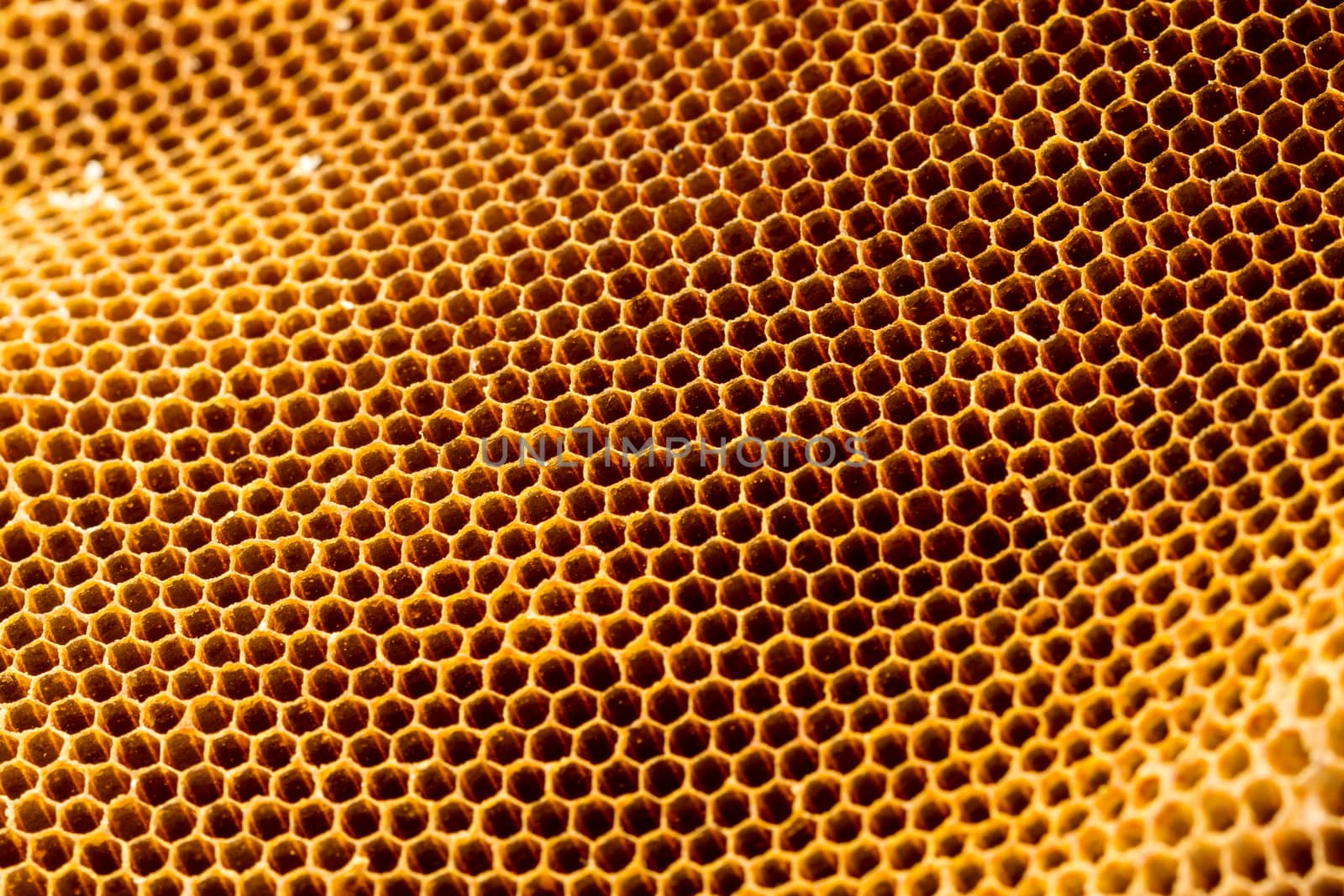 yellow beautiful honeycomb without honey texture