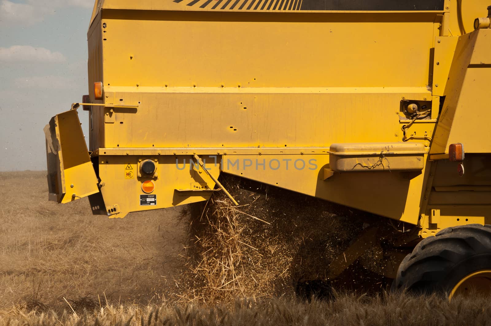 harvest in wheat field by NeydtStock