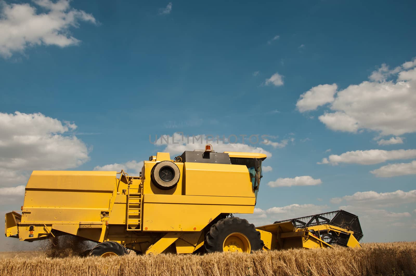 harvest in wheat field by NeydtStock