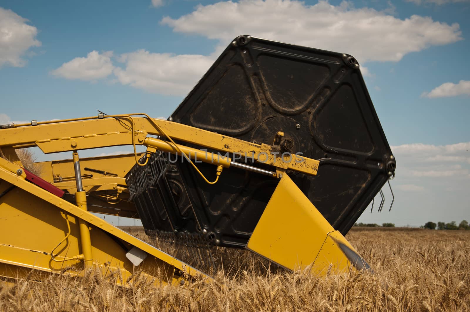 harvest in wheat field by NeydtStock